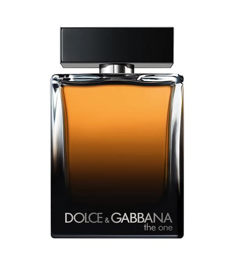 dolce & gabbana the one men's cologne|dolce website.